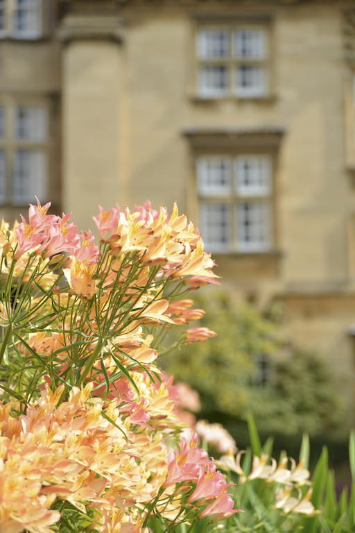 Готель Christ'S College Cambridge Екстер'єр фото